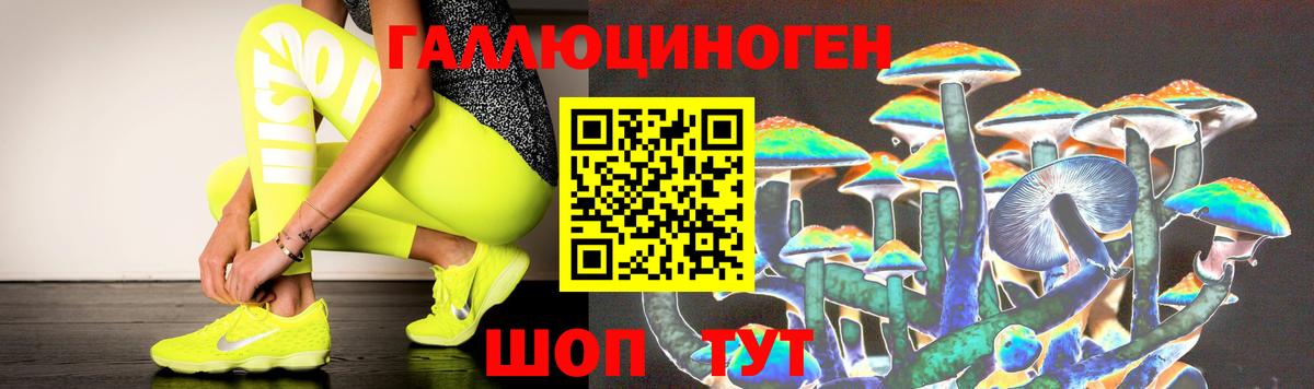 Псилоцибиновые грибы Psilocybe Янаул